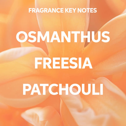 Shampoo Invigo Nutri Enrich para cabello seco o dañado 250 ml